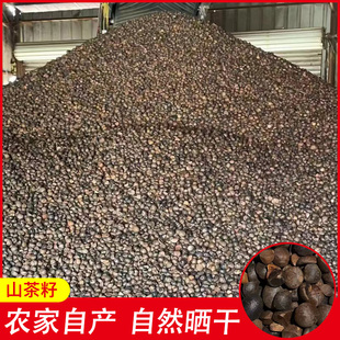 天然农家山茶籽粉榨油原料油料油茶籽自榨茶仔山茶子果茶枯带壳