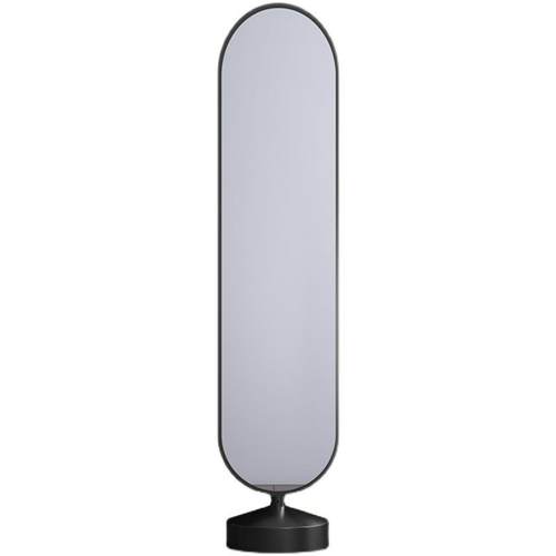 镜子全身落地镜可旋转家用卧室网红ins风客厅立体轻奢试衣穿衣镜