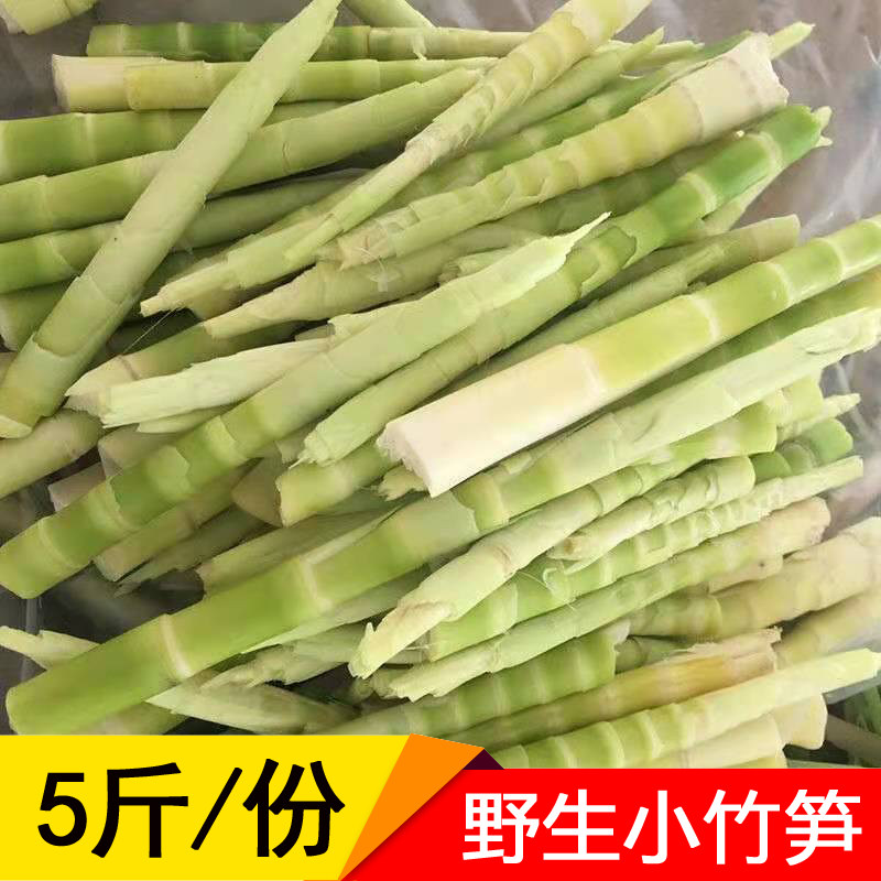 小笋野生竹笋新鲜春笋嫩笋尖小竹笋火锅笋剥壳笋火锅商用批发5斤