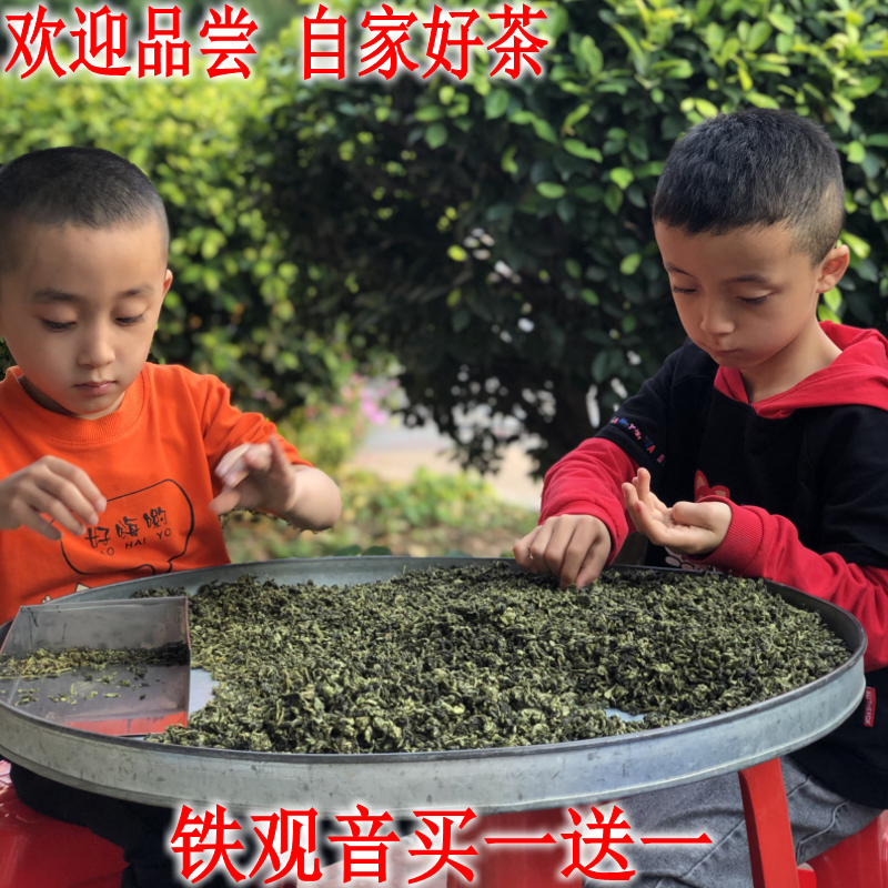 2024年春茶乌龙茶安溪铁观音清香型茶叶共500g口粮好茶正味茶新茶