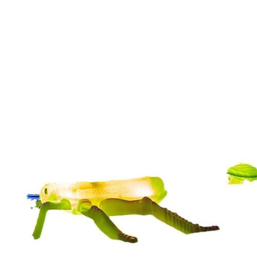 仿真螳螂灯LED公园景区草坪昆虫装饰灯树木亮化挂件灯动物动态灯