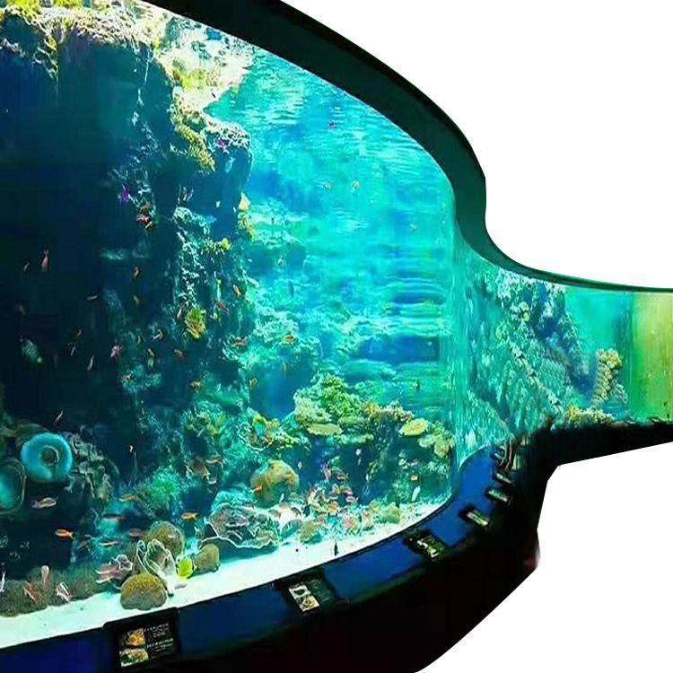 海洋馆鱼缸设计海水景观生态观赏鱼缸大型亚克力异形水族馆鱼缸,宠物/宠物食品及用品,桌面缸,淘宝优惠券,粉丝福利购,淘宝优惠卷