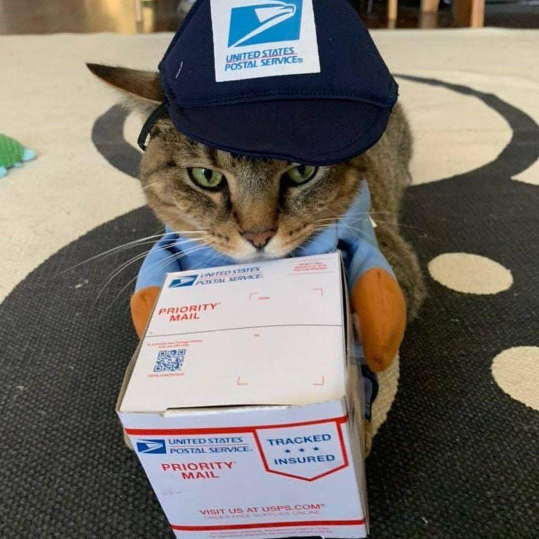 搞怪狗变身装狗狗宠物猫咪中大型犬万圣节日装饰用品服饰猫衣服,宠物/宠物食品及用品,狗宠物服装/雨衣,淘宝优惠券,粉丝福利购,淘宝优惠卷