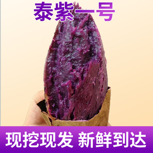 云南特产现挖高原红土紫薯泰紫一号软糯香甜沙地蜜薯红薯紫美人