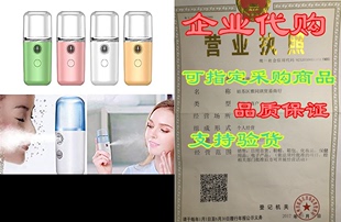 Mini Nano Sprayer Humidifier Facial Face USB Ste Portable