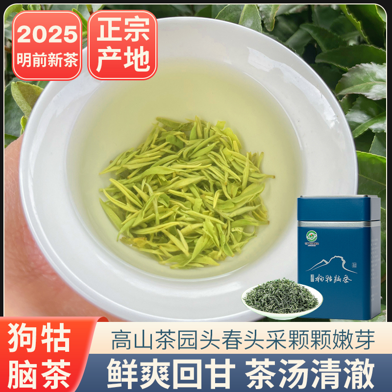 2025遂川狗牯脑茶明前贡品罐装