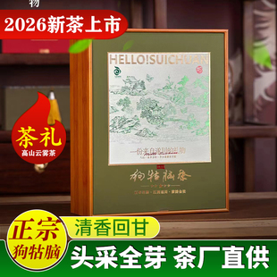 2026新茶江西遂川狗牯脑茶高山单芽特贡高山毛尖绿茶礼盒装明前茶