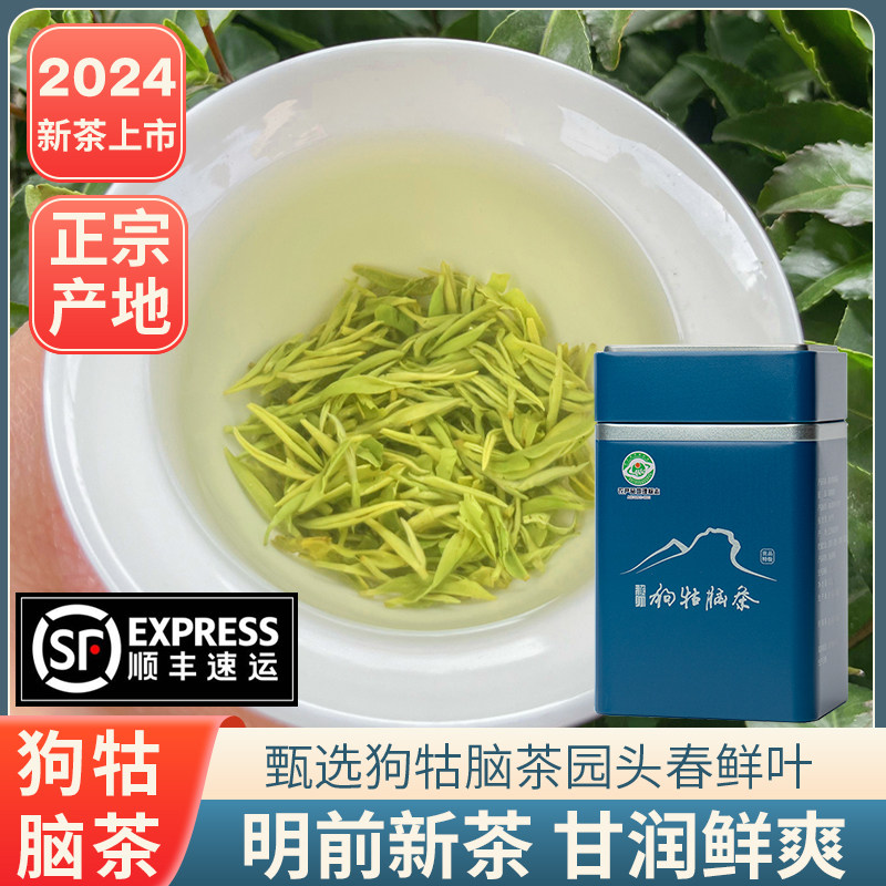 2024新茶江西遂川狗牯脑茶高山单芽贡品绿茶毛尖明前茶罐装125克