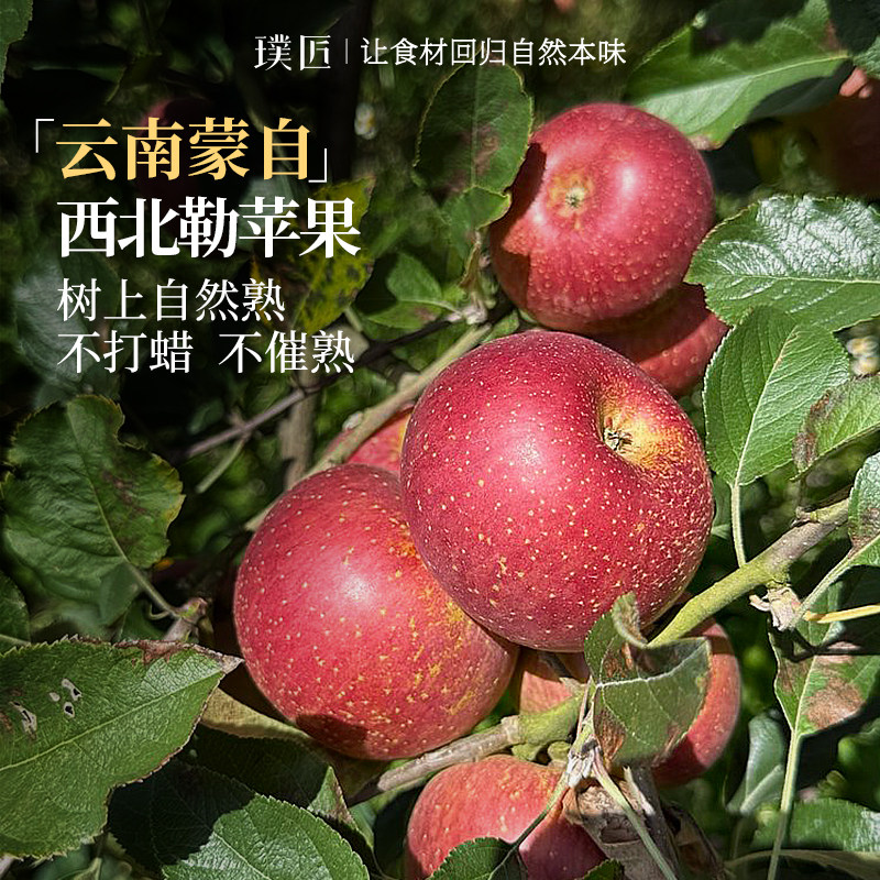 云南蒙自西北勒苹果 果味浓郁新鲜采摘 样子不好看个头也不大 5斤