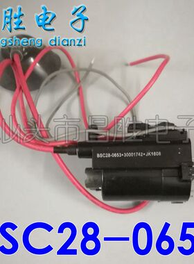 【昌胜电子】全新康佳高压包 BSC28-0653 BSC26-N1004K 30001742