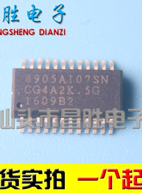 【昌胜电子】全新原装 8905AI07SN OZ8905A107SN 现货直接拍