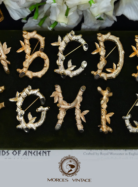 Vintage复古董首饰70年代SARAH COV藤蔓花枝26个英文字母胸针集