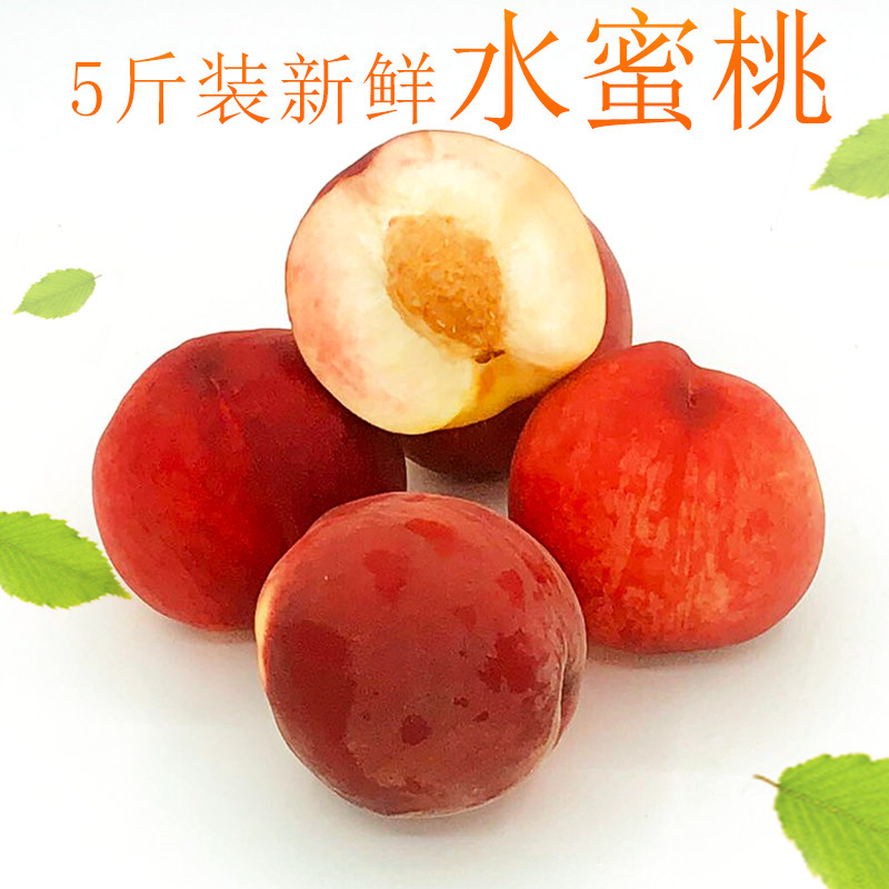 现摘现发孕妇水果新鲜5斤装纯甜水蜜桃包邮大果脆甜多汁桃子现货3|msdalam kategori daging perikanan/Buah-buahan segar dan sayur-sayuran/dimasak, buah-buahan segar, Peach - dari Buy2taobao.com untuk memberikan perkhidmatan ejen Taobao profesional membeli