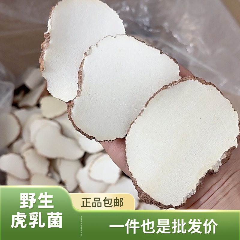 正品【虎乳灵芝】虎乳菌切片无硫野生马来西亚菌香浓郁干货