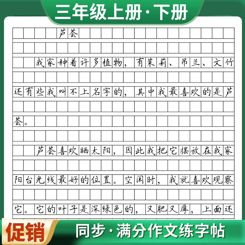 字帖硬笔书法小学生作文格