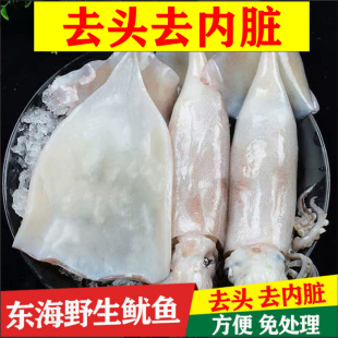 【免清理去内脏大鱿鱼】新鲜鱿鱼片整只鲜活冷冻野生鱿鱼整只烧烤