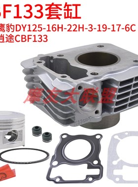 大阳鹰豹套缸DY125-16H-22H-3-19-17-6C大运逍途 CBF 133缸套活塞