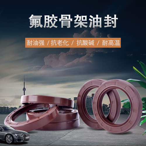 氟胶耐高温骨架油封氟橡胶