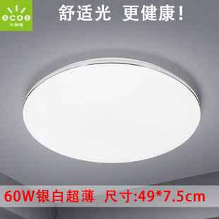 小器鬼LED吸顶灯新款银白客卧餐厅圆形灯具北欧现代超亮小气鬼