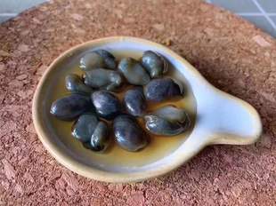 210克一瓶 发4瓶 特大号舟山黄泥螺99元 海哥臻选4瓶装