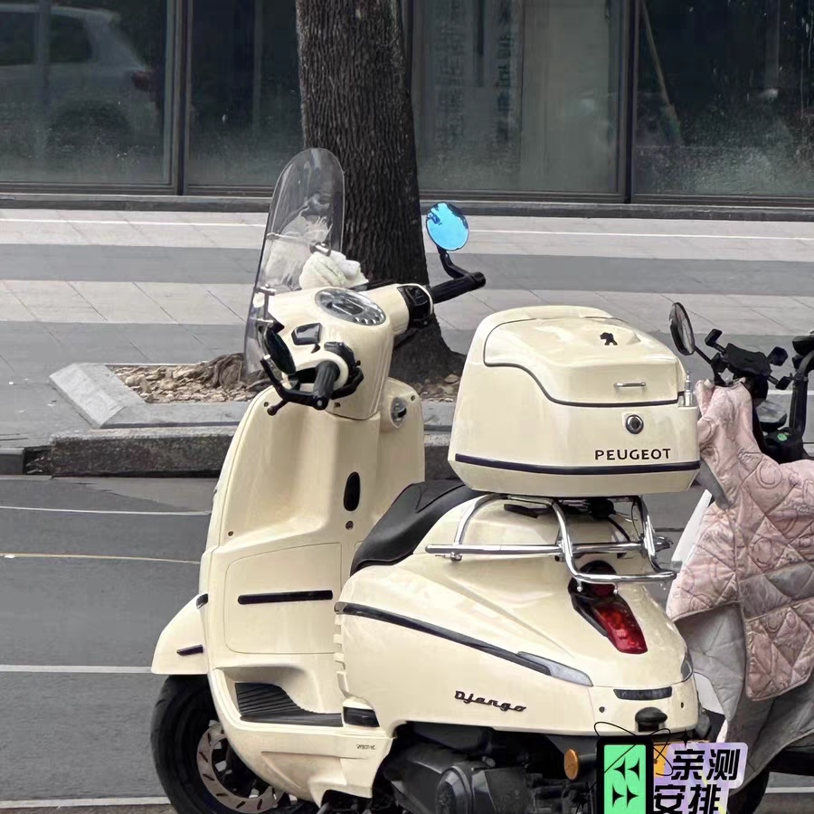 适用 南方24款飞戈150max 尾箱 蒙娜丽莎姜戈150踏板电动车后备箱