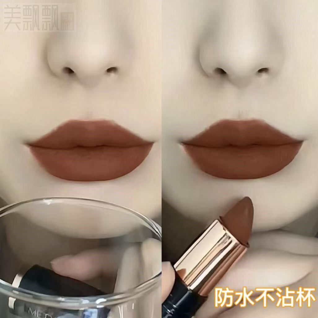 【官方正品】欧美吃土色口红哑光防水不沾杯不掉色素颜显白红棕色