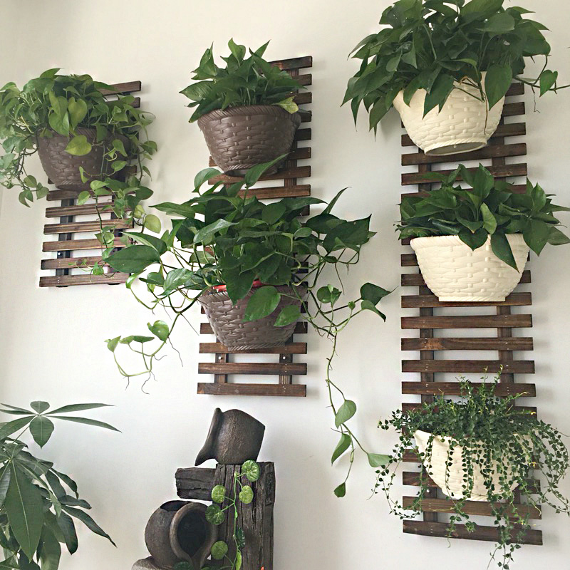 植物爬藤架防腐木花架阳台客厅装饰壁挂式墙壁实木悬挂式花盆架子