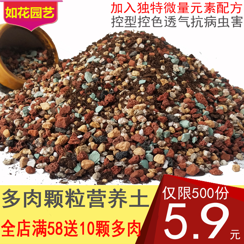 杨力讲饮食与营养