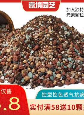 进口配方多肉颗粒土纯颗粒植物通用专用营养土肉肉叶插换盆花土