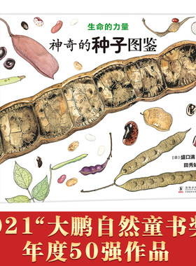 生命的力量：神奇的种子图鉴（从一粒种子开始探索生命）丁虹绘本馆出品【3-6岁】