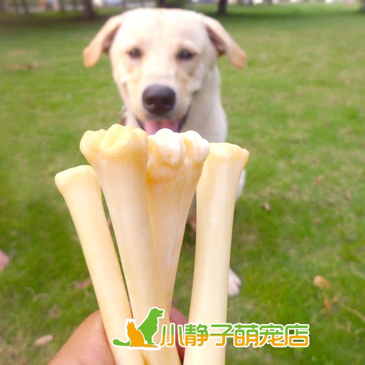 √70以上 犬 不機嫌 207118犬 夜 不機嫌 Freemuryormwqvd