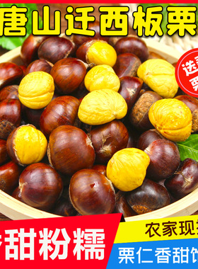 2025新货正宗迁西板栗5斤大果野生油栗大个燕山栗子板栗生新鲜