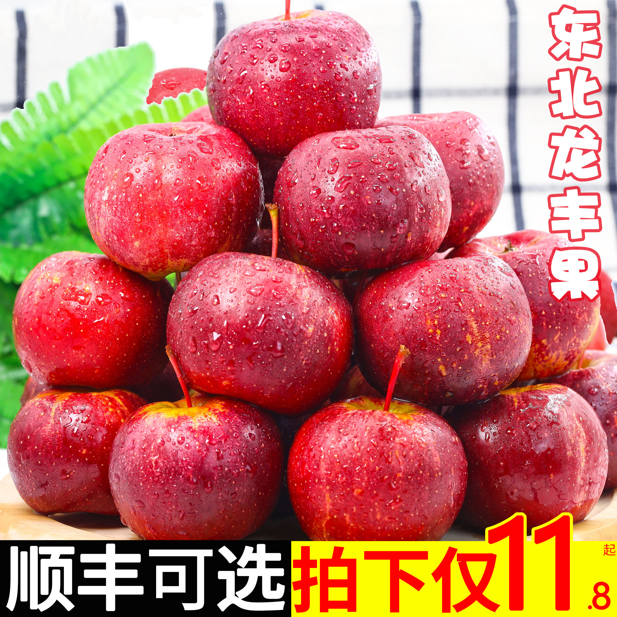 正宗东北龙丰果5斤特产小苹果