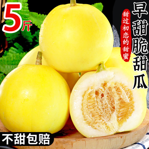 比初恋还甜5斤甜脆多汁