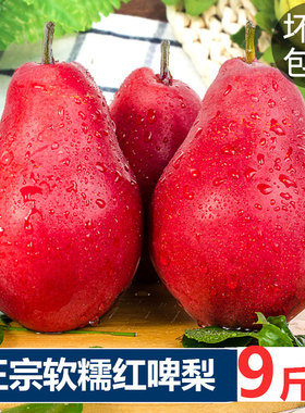 红啤梨9斤新鲜水果当季整箱包邮红皮梨红梨香软糯梨子时令包邮10