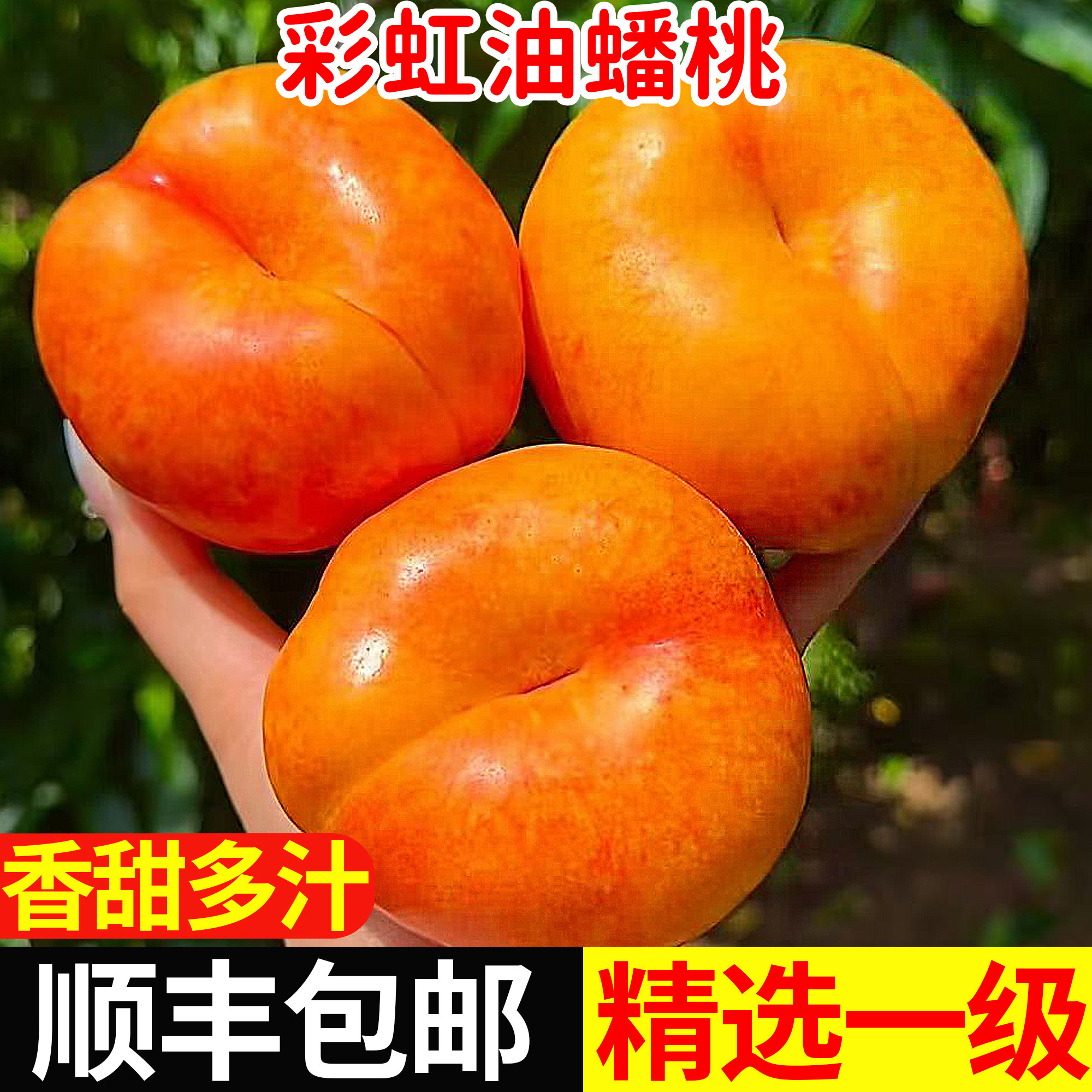 顺丰包邮2026蒙阴黄心油蟠桃