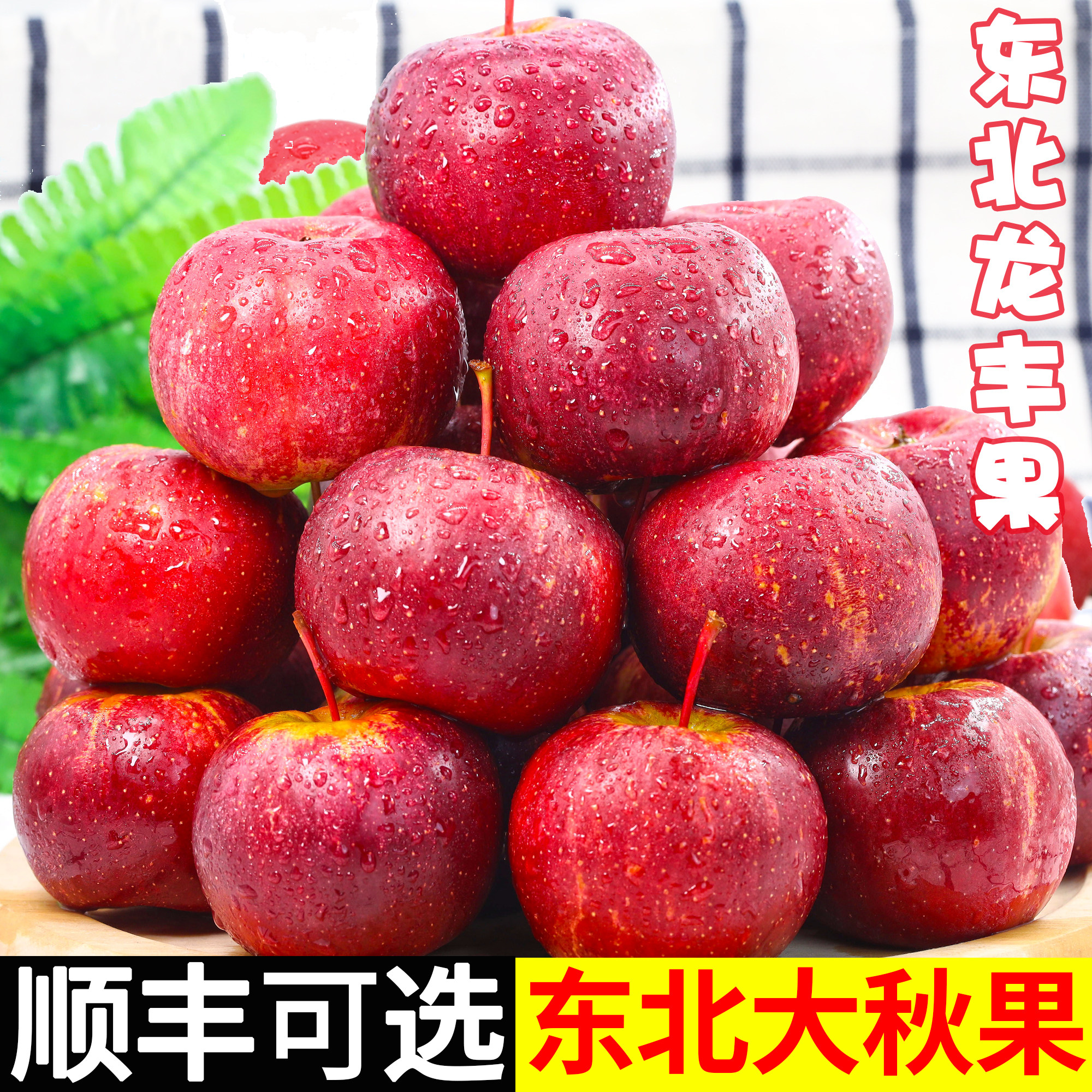正宗东北龙丰果5斤特产小苹果