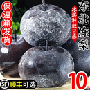 包邮 东北冻梨10斤梨子新鲜水果苹果梨整箱秋延边当季 特产