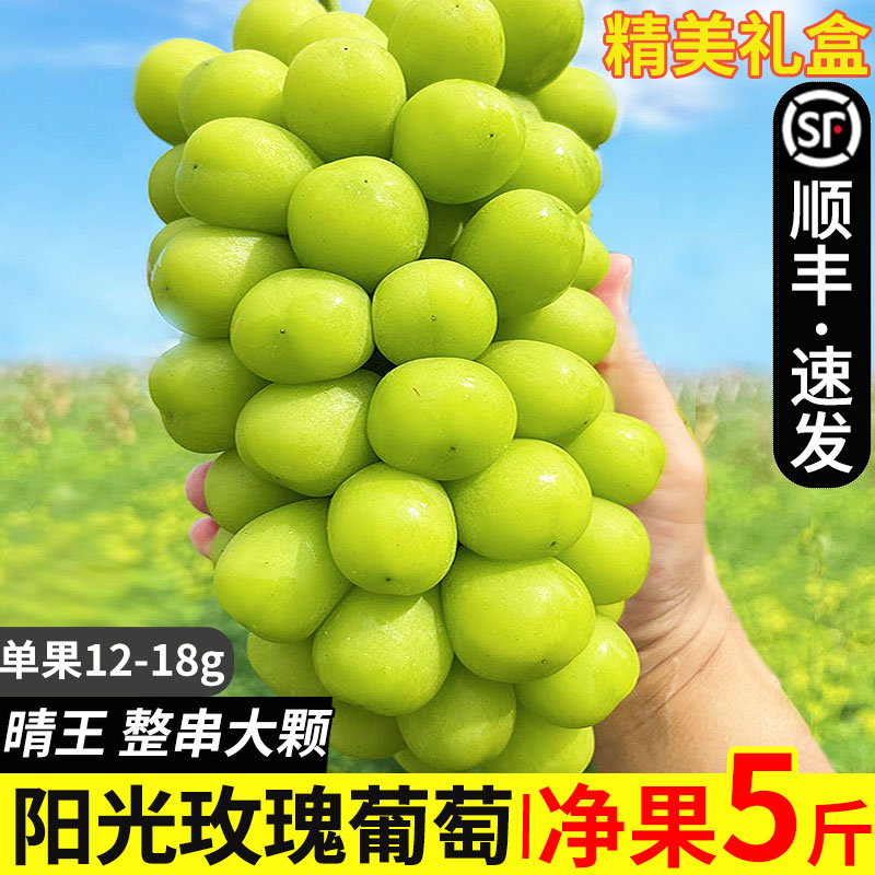 阳光玫瑰葡萄3斤晴王葡萄新鲜无籽葡萄香印青提水果新鲜当季整箱