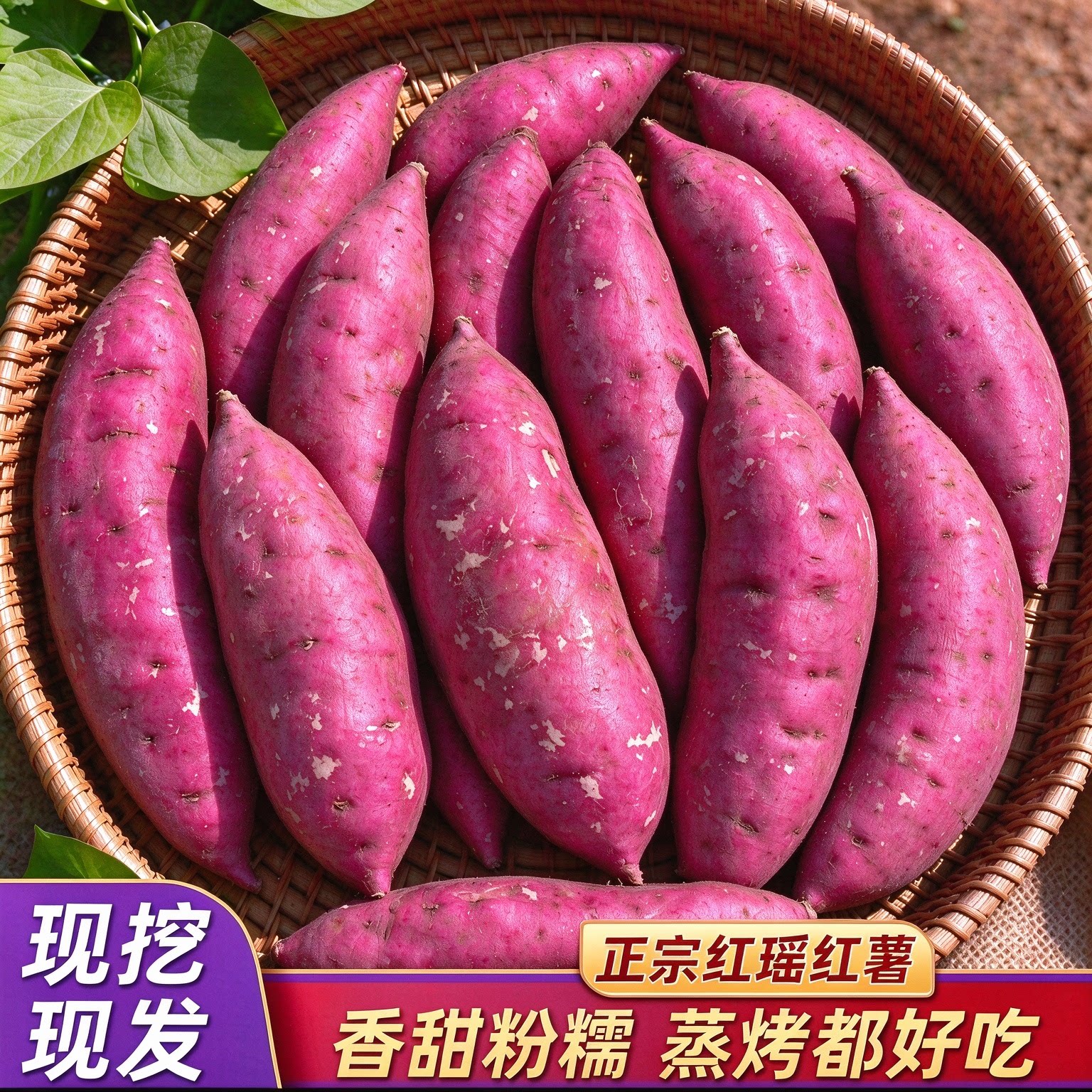 红瑶榴莲蜜薯小香薯正宗农家自种红薯新鲜10斤番薯农家烤地瓜山芋