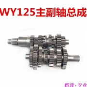 CG150 / 175/200 / CB125WY125 làm mát bằng không khí / làm mát bằng nước Longxin / Zongshen - Xe máy Gears