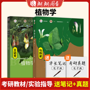 现货正版植物学 第三版第3版 马炜梁 高等教育出版社 高等学校植物学教材植物学考研精解 原植物学第二版改版朗朗图书