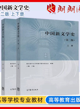中国新文学史上册下册天津自考教材13426中文学科教学指导委员会丁帆编本科文法类教材文学考研参考图书高等教育出版社朗朗图书