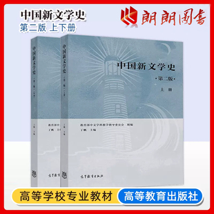 中国新文学史上册下册天津自考教材13426中文学科教学指导委员会丁帆编本科文法类教材文学考研参考图书高等教育出版社朗朗图书