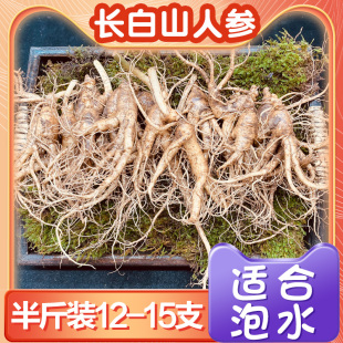 29元 12支长白山新鲜人参适合泡水炖汤泡酒包顺丰 半斤8
