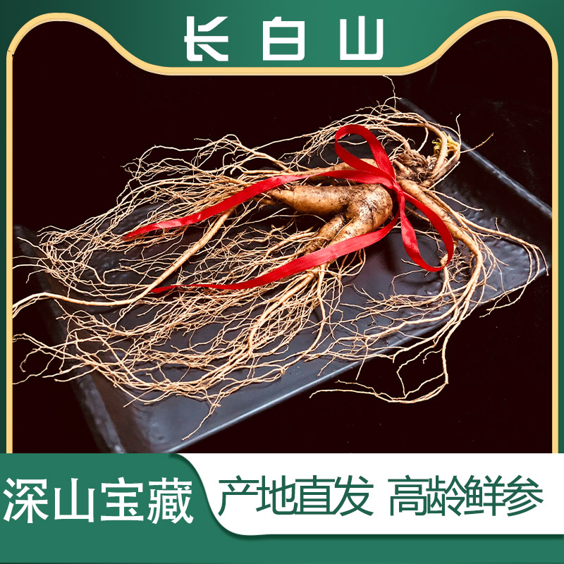 長(zhǎng)白山鮮人參禮品煲湯泡酒順豐包郵
