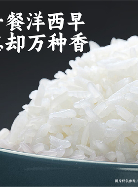 谦益农业新粮新米京山桥米洋西早贡米生态长粒丝苗米老品种无农化