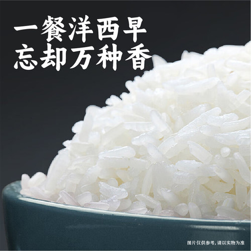 谦益农场钟祥京山桥米自然农耕