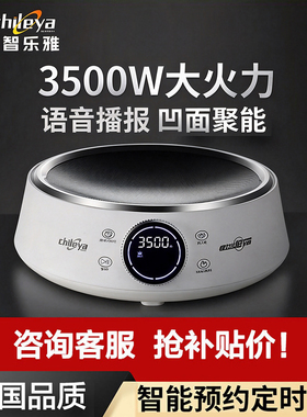 德国正品智乐雅凹面电磁炉家用