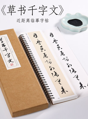 草书近距离字帖纸中作乐千字文